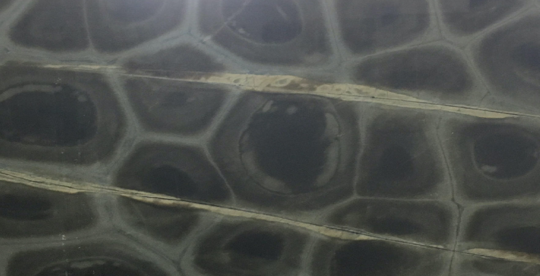 Tartaruga Quartzite Full Slab