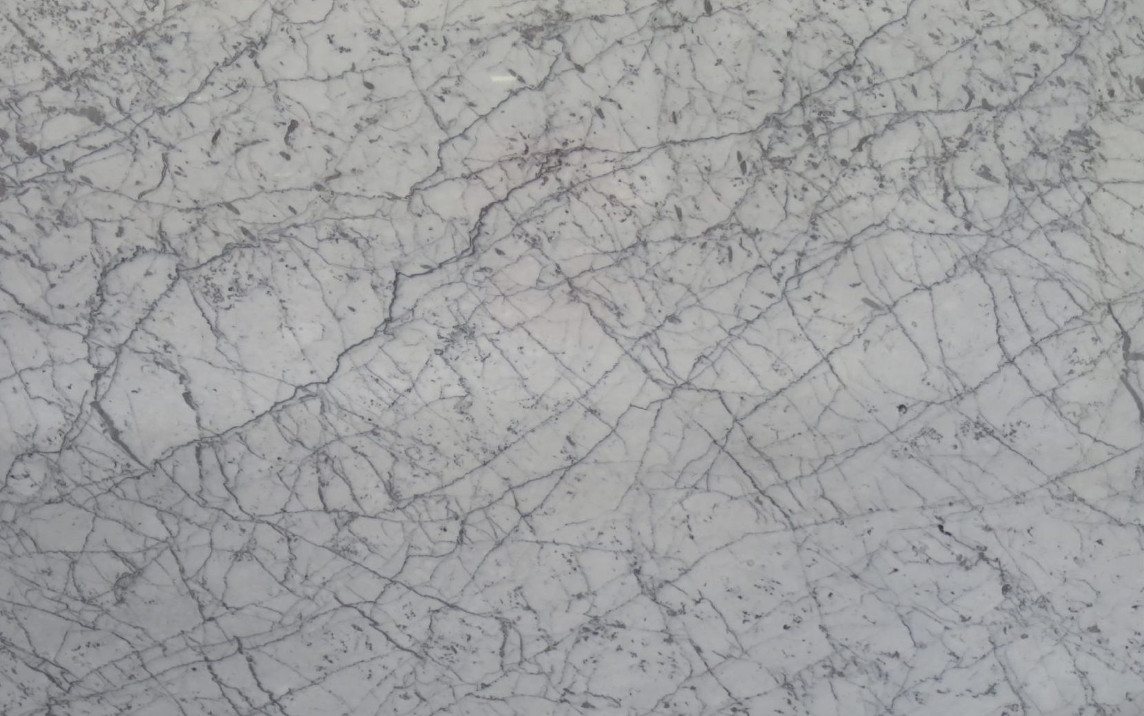 Venetino Marble Full Slab