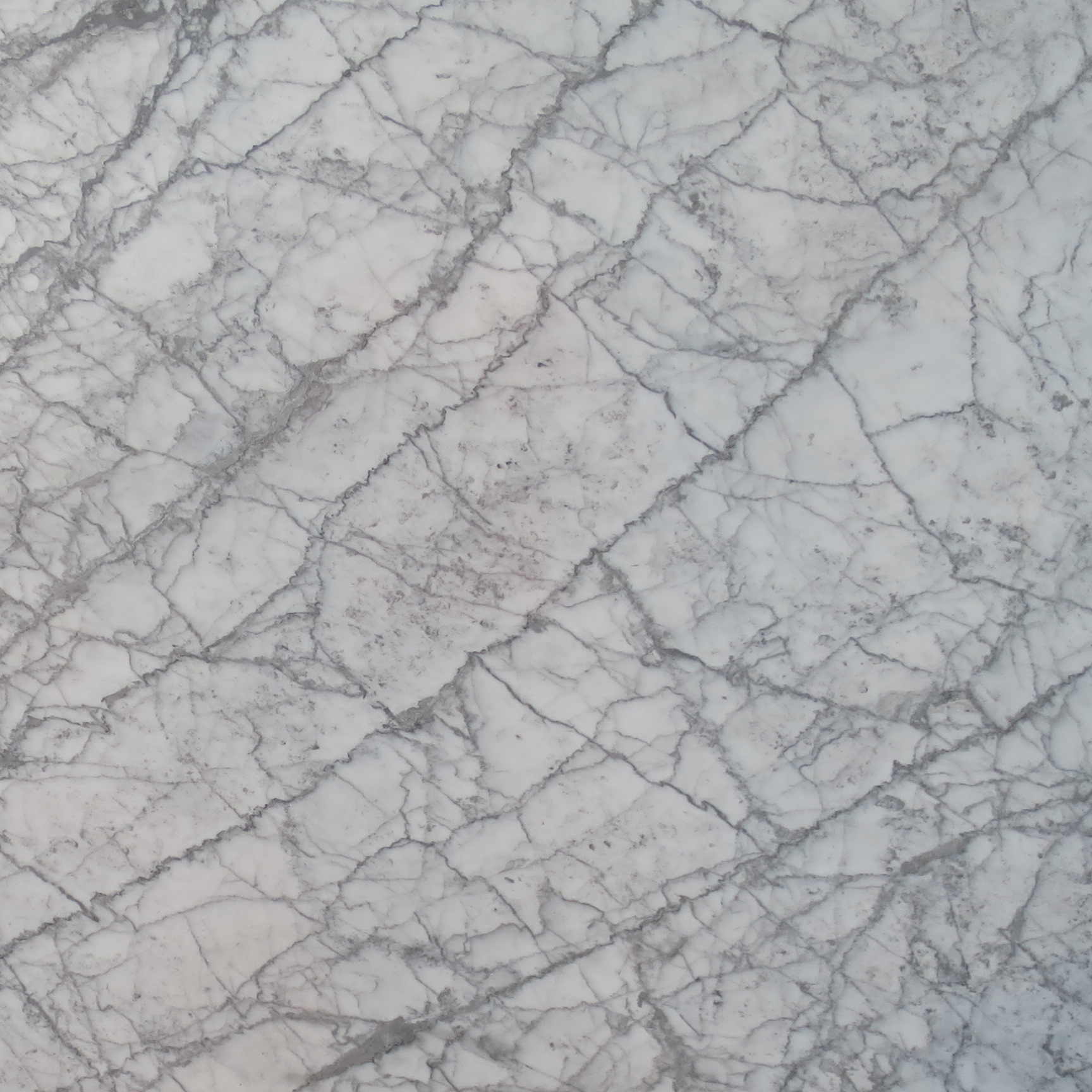 Venetino Marble