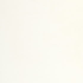 Vivid White Caesarstone Quartz