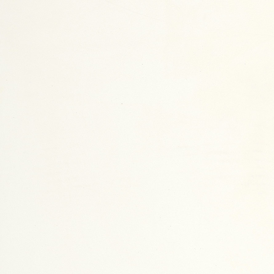 Vivid White Caesarstone Quartz