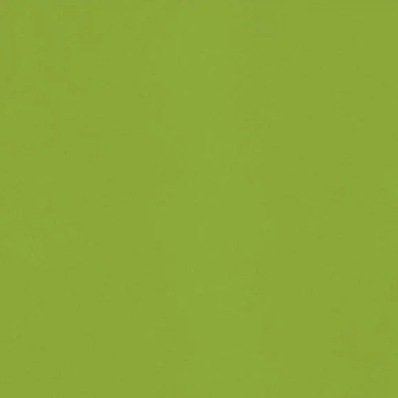 Silestone Green Fun Quartz