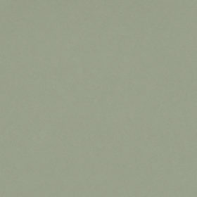 Posidonia Green Silestone Quartz